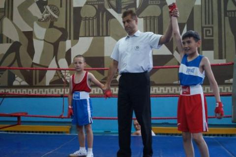 Региональная общественная организация Федерация бокса Тюменской области - Фотолента - Соревнования в Кургане, посвященные Дню России