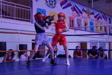 Тюменский Фонд развития бокса - официальный сайт - Фотолента - ТМ в Ишиме, 09.04.2016г.