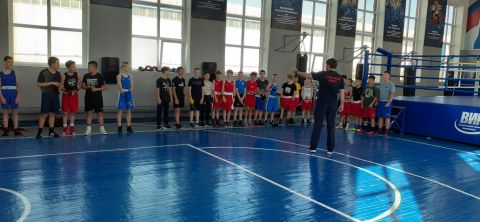 Тюменский Фонд развития бокса - официальный сайт - Фотолента - Боевая практика боксеров Войновки, 05.10.2024г., г.Тюмень