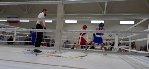 Тюменский Фонд развития бокса - официальный сайт - Фотолента - Первенство города Тюмени по боксу 2024 года, 11-13.10.2024г., г.Тюмень