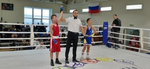 Тюменский Фонд развития бокса - официальный сайт - Фотолента - Первенство города Тюмени по боксу 2024 года, 11-13.10.2024г., г.Тюмень