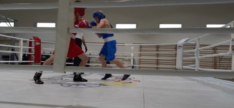 Тюменский Фонд развития бокса - официальный сайт - Фотолента - Первенство города Тюмени по боксу 2024 года, 11-13.10.2024г., г.Тюмень