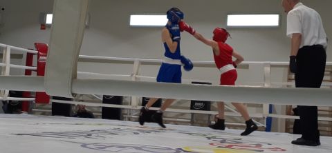 Тюменский Фонд развития бокса - официальный сайт - Фотолента - Первенство города Тюмени по боксу 2024 года, 11-13.10.2024г., г.Тюмень