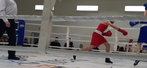 Тюменский Фонд развития бокса - официальный сайт - Фотолента - Первенство города Тюмени по боксу 2024 года, 11-13.10.2024г., г.Тюмень