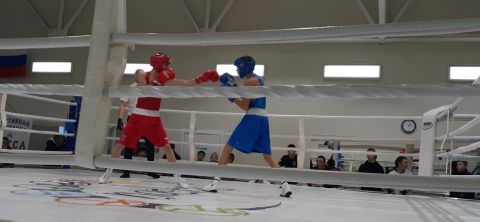 Тюменский Фонд развития бокса - официальный сайт - Фотолента - Первенство города Тюмени по боксу 2024 года, 11-13.10.2024г., г.Тюмень