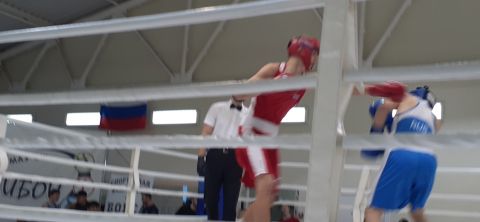 Тюменский Фонд развития бокса - официальный сайт - Фотолента - Первенство города Тюмени по боксу 2024 года, 11-13.10.2024г., г.Тюмень