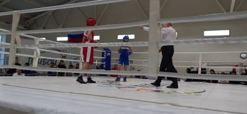 Тюменский Фонд развития бокса - официальный сайт - Фотолента - Первенство города Тюмени по боксу 2024 года, 11-13.10.2024г., г.Тюмень