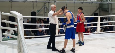 Тюменский Фонд развития бокса - официальный сайт - Фотолента - Первенство города Тюмени по боксу 2024 года, 11-13.10.2024г., г.Тюмень