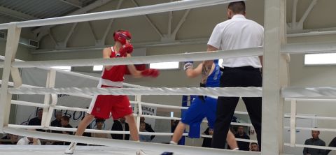 Тюменский Фонд развития бокса - официальный сайт - Фотолента - Первенство города Тюмени по боксу 2024 года, 11-13.10.2024г., г.Тюмень