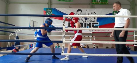 Тюменский Фонд развития бокса - официальный сайт - Фотолента - Межрегиональный турнир по боксу "Ринг Мужества", 19-22.06.2025г., г.Красноуфимск