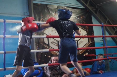 Тюменский Фонд развития бокса - официальный сайт - Фотолента - Спарринги в Ембаево, 12.11.2017г.