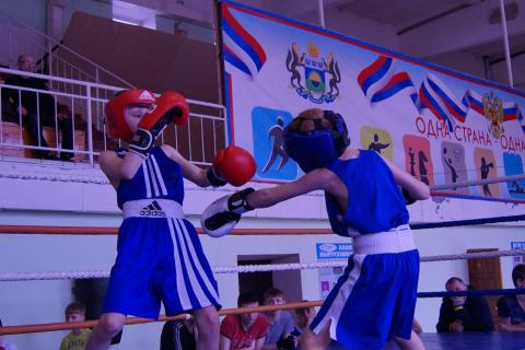 Тюменский Фонд развития бокса - официальный сайт - Фотолента - ТМ в Ишиме, 09.04.2016г.
