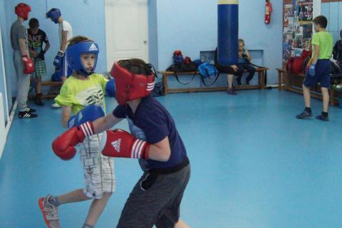 Региональная общественная организация Федерация бокса Тюменской области - Фотолента - Последняя тренировка учебного года (30 июня)