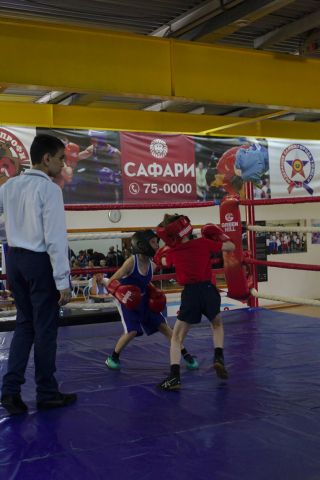 Тюменский Фонд развития бокса - официальный сайт - Фотолента - Турнир по боксу ко Дню Защиты детей, 01.06.2017г., г.Тюмень, СК &quot;Здоровье&quot;  