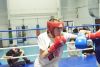 Тюменский Фонд развития бокса - официальный сайт - Фотолента - Тренировочное мероприятие - спарринги, 19.11.2023г., г.Тобольск, СК &quot;Олимп&quot;