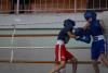 Тюменский Фонд развития бокса - официальный сайт - Фотолента - Тренировочное мероприятие в Ишиме, 22.01.2017г.